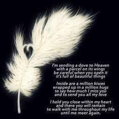 dove to heaven