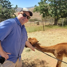 While in LA in May of 2019, we visited an Alpaca farm.