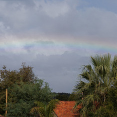 Erins Rainbow the morning she passed away
