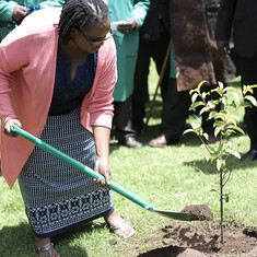 Esther is planting tree