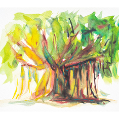 There is a beautiful banyan tree in Budhani Gardens, Mombasa. I painted a picture of it for you