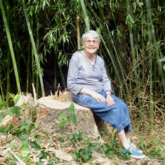 Marcia's Fallen tree, Sam posing on the remaining stump