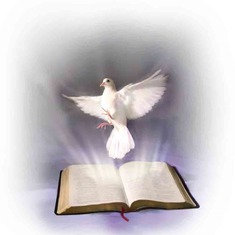 A Picture of A  Dove and The Holy  Bible in lieu of a missing photo of our deceased beloved , mother , District  Missionary Rose Bell Waldrup- Rogers( mother of Evangelist Spencer) cont:...