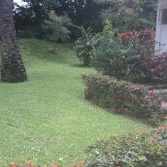 Dad loved a well mowed lawn. I actually miss the smell of mowing -  a constant chore i was assigned to growing up in Kukumada