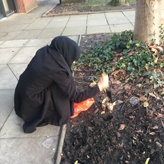 Planting bulbs at Longsight Medical Practice, Moss side (formerly Manchester Medical)