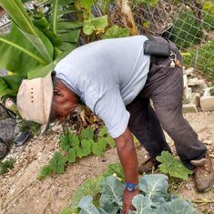 Dad in his garden