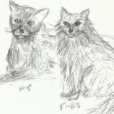Hugo and Fluffy (2)