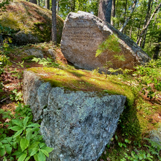 3) You can sit on this grasscovered stone with a pine tree growing on top of it...