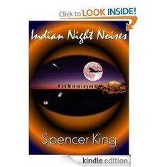 Indian Night Noises