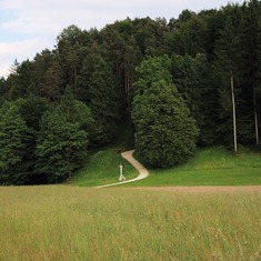The path leading from Nožice village to the church in Homec. In his youth Francé walked this way countless times.