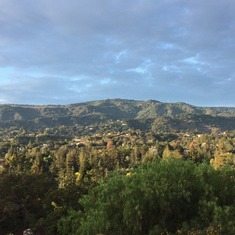 View from patio in Los Altos... France enjoyed watching the changes of lighting, weather, colors and animals from his kitchen chair and while entertaining friends for gatherings outside