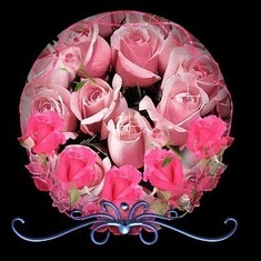 Pink-Roses-Beautiful-Graphic