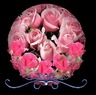 Pink-Roses-Beautiful-Graphic
