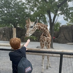 RJ fed a giraffe 