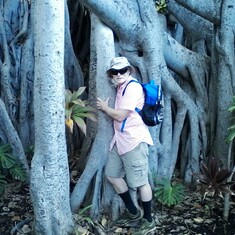 Tree hugger in Hawaii Sept 2016