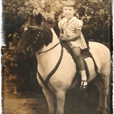 51 - Another fave of mine - just a classic, Mom always loved horses though she never had the opportunity to ride as a pastime in her adult l