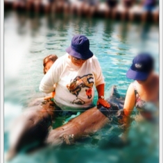 6 - Dolphin Adventure - just one of many amazing experiences on this trip to Florida with daughter Jen and her family.