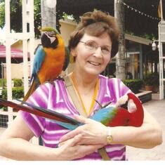 Mom and some parrots