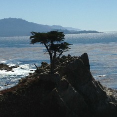 Lone Cypress Monterey with Dad 2013