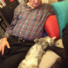 At Ariel's house in LA for Christmas, with Roe the cat (2012)