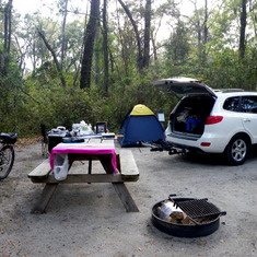 Edisto Island 2011 pup-tenting