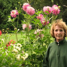 Dahlias Volunteer Park