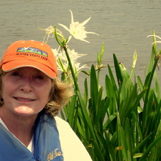 Canoeing among the tiger lilies