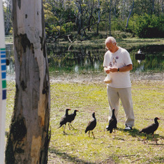 Feeding-Wild-Birds-Australia