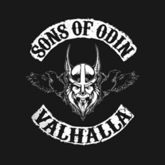 You are a Son of Odin