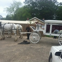 Preparations are being made for Mommy's safe ride in her white horse and carriage.