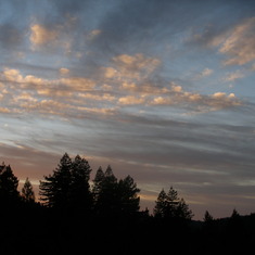 PA080021 6:35 pm sunset - Russian River Valley, Terrace Dr. Forestville,  Where I was a year ago thinking of a dear friend Jerry - Good by dear soul,