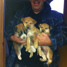 Gil and the three pups from the Winter litter in 2012.