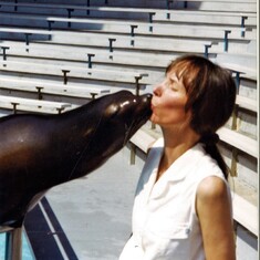 Seal kissing
