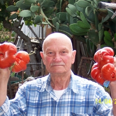 Giuseppe Torcasio: Portrait with his tomatoes