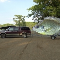 truck_fish s