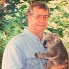koala dad