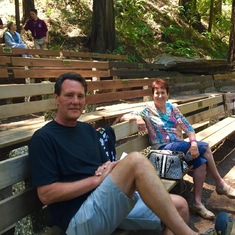 Enjoying the concert in the redwoods of Sonoma Coast
