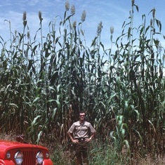 Glenn in the corn.  Nigeria.