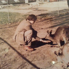 Greg feeding some kangaroos.