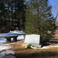 耿俊飞，汉星的同学，在加拿大，最近传来了他特地去波士顿，看望汉星的墓地。