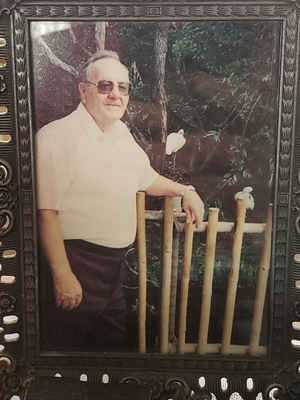 Harold  D Saylor