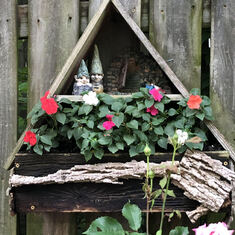 Fairy House among the Roses