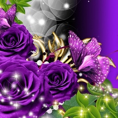 purple_rose-wallpaper-10462926