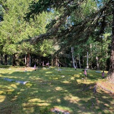 The Cemetery in Maine