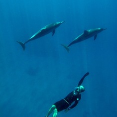 Heber swimming with dolphins on the Big Island