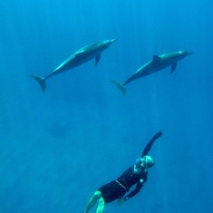 Heber with dolphins on the Big Island