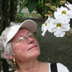Girl with Flower, Caribbean, 2011