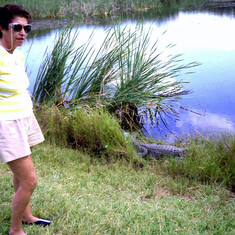 No fear of alligators, Everglades, Nov. 1984.