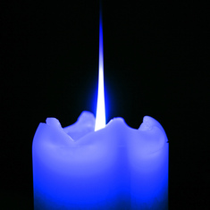 FOR OUR FALLEN POLICE OFFICERS
