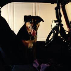 Ready For A Jeep Ride Dad